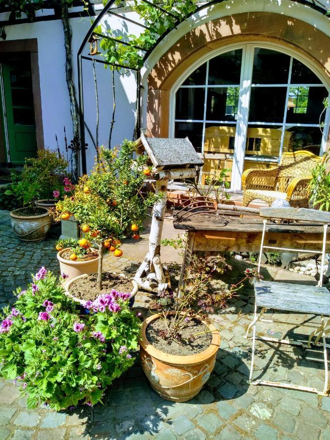 Willkommen In Unserem Kleinen Paradies Venningen Экстерьер фото