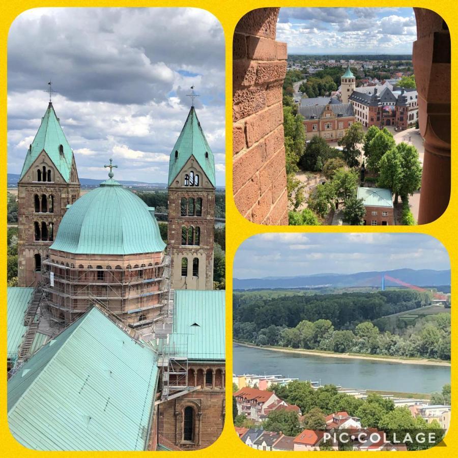 Willkommen In Unserem Kleinen Paradies Venningen Экстерьер фото